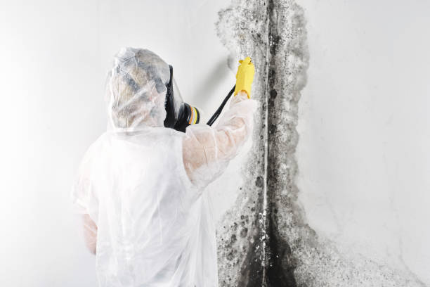 Best Water damage restoration cost  in Beverly Hills, MI